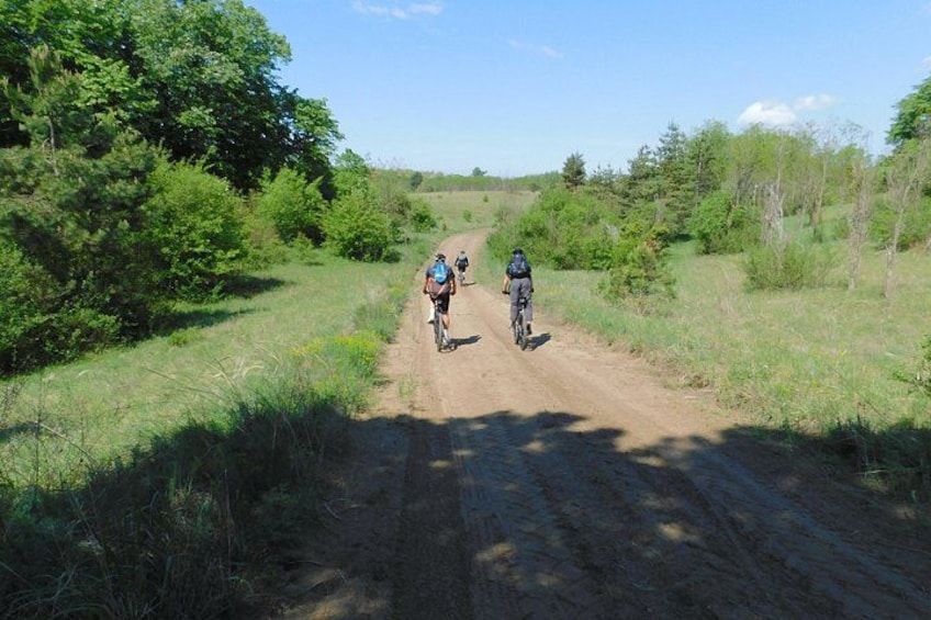 Two cyclists on a dirt path surrounded by greenery. 3