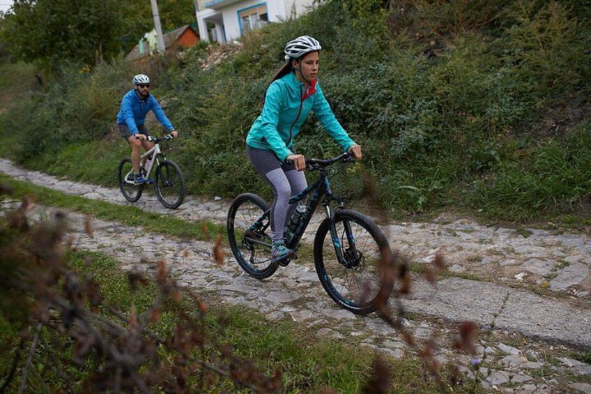Deux cyclistes sur un chemin pavé, entourés de verdure. 2