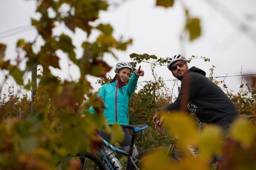 Deux personnes à vélo, dans un environnement naturel, avec des arbres et une clôture en arrière-plan. 5