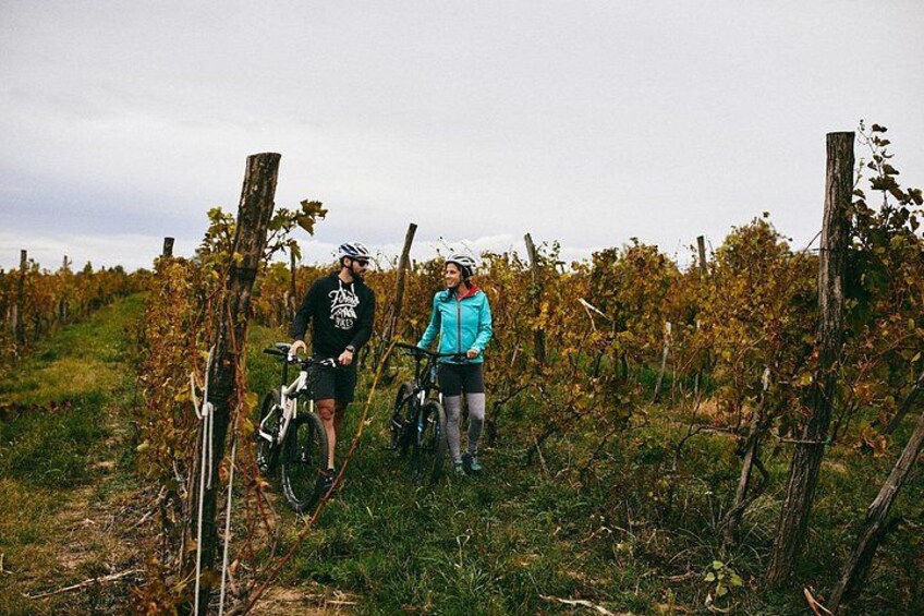 Deux personnes sur une piste cyclable, dans un vignoble avec des rangs de vignes et des poteaux en bois. 1