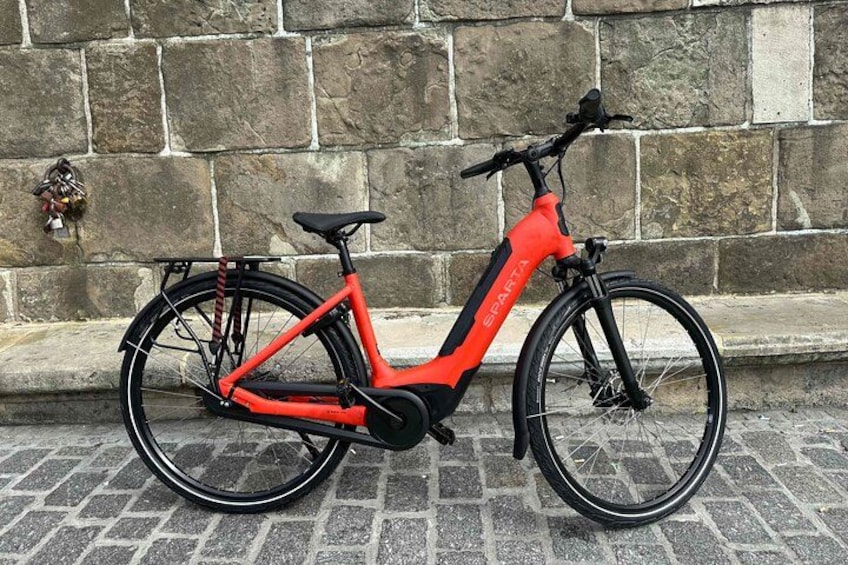 E-bike with Bosch assistance 2