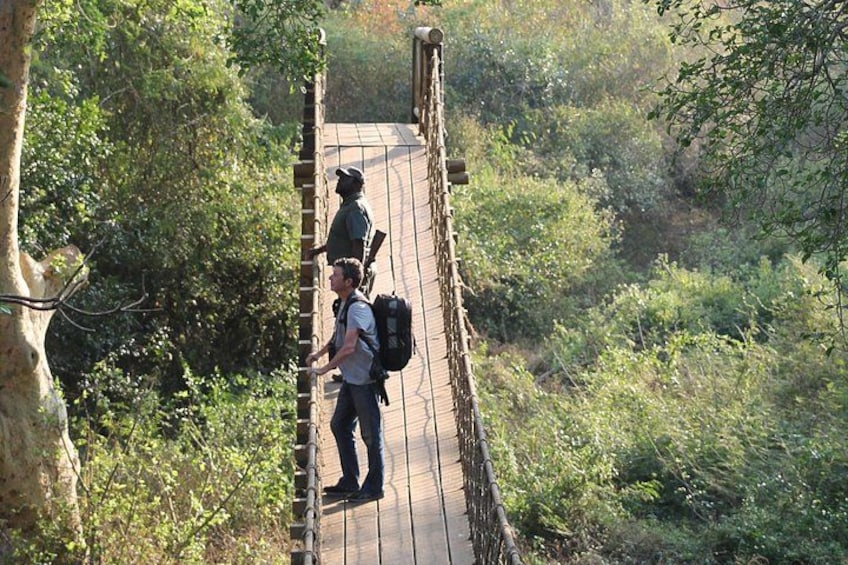 Un ponte sospeso in legno in una zona boschiva. 1