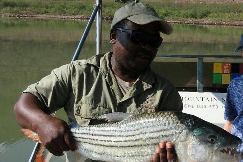 A person holding a large fish on a boat. 1