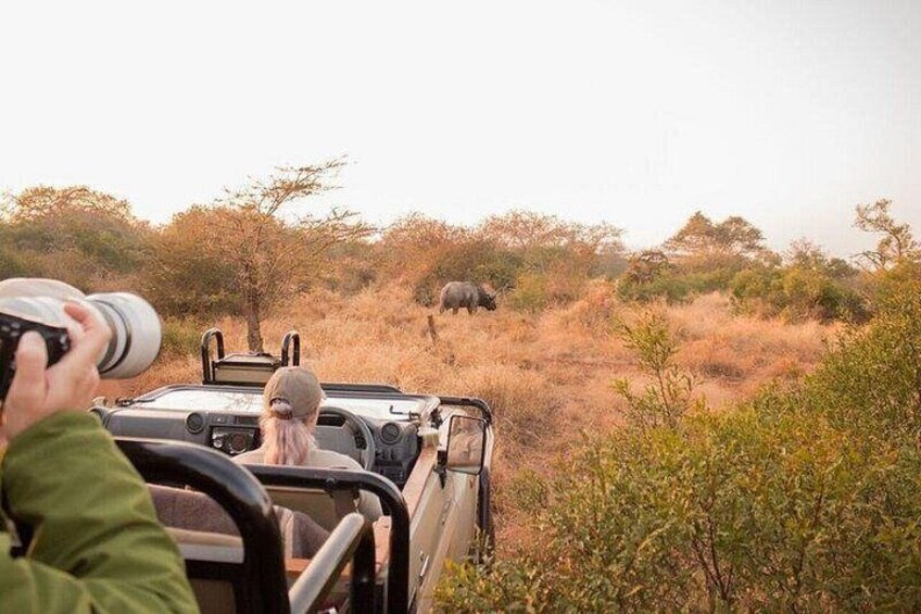 Manyoni Safari Drive 3
