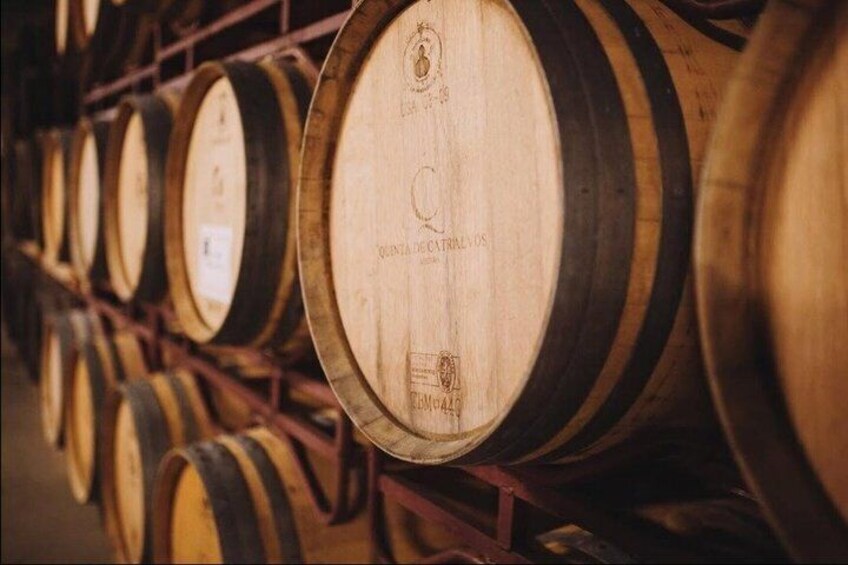 Arrabida Wine Tour from Lisbon: Wineries, Tastings & Tile Factory 5