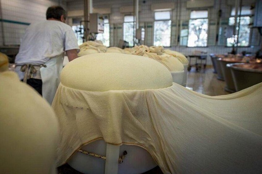 A dairy processing facility with large vats covered in cloth, a worker in the background, and a windowed interior. 4