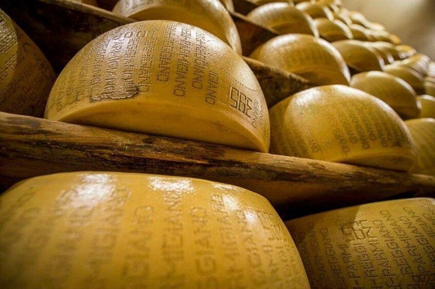 Parmigiano Reggiano Cheese Factory Tour & Tasting Experience 1
