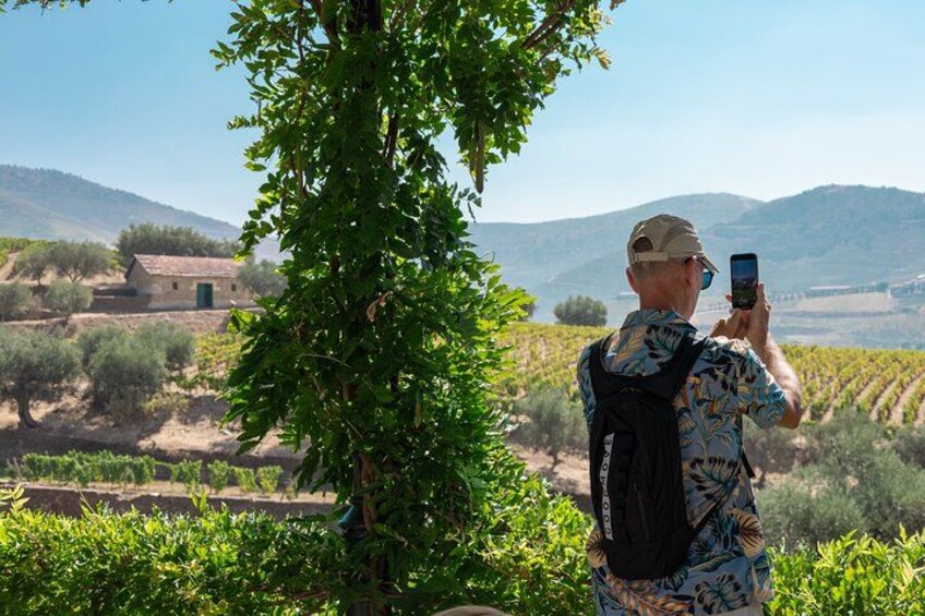 Complete Douro Valley Wine Tour with Lunch, Wine Tastings and River Cruise 2