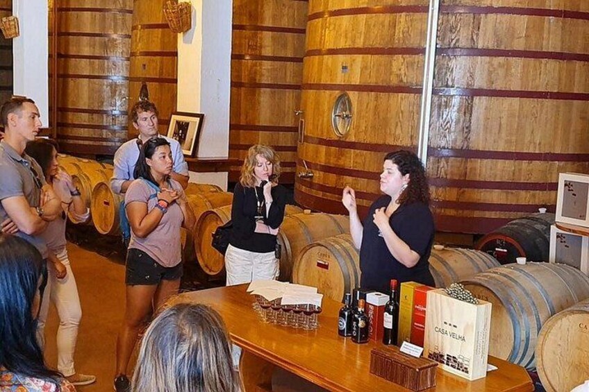 Wine estate visit 3