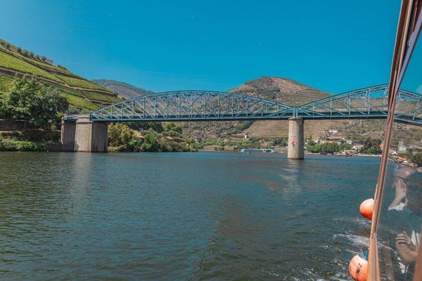 Complete Douro Valley Wine Tour with Lunch, Wine Tastings and River Cruise 3