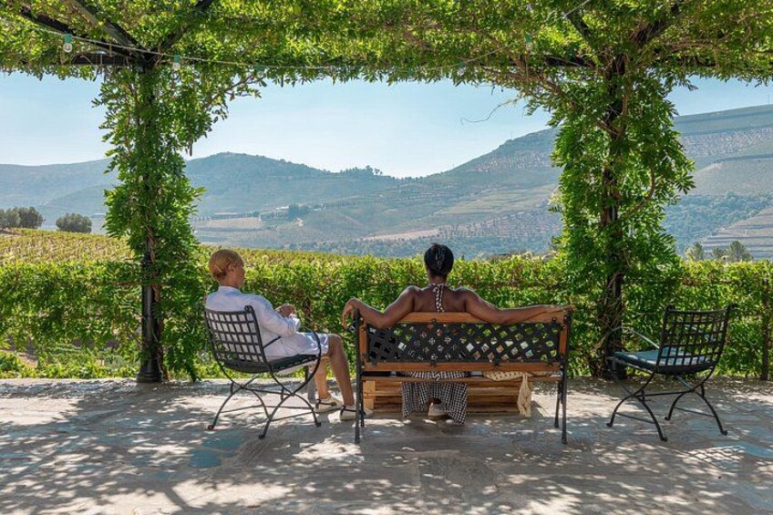Complete Douro Valley Wine Tour with Lunch, Wine Tastings and River Cruise 5