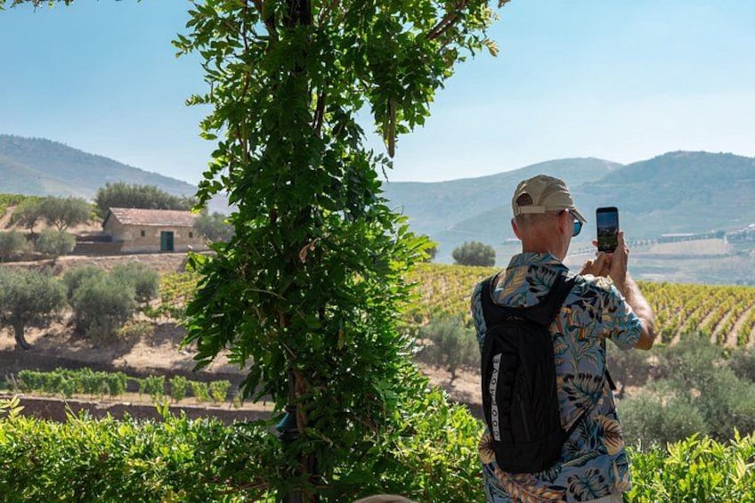 Complete Douro Valley Wine Tour with Lunch, Wine Tastings and River Cruise 2