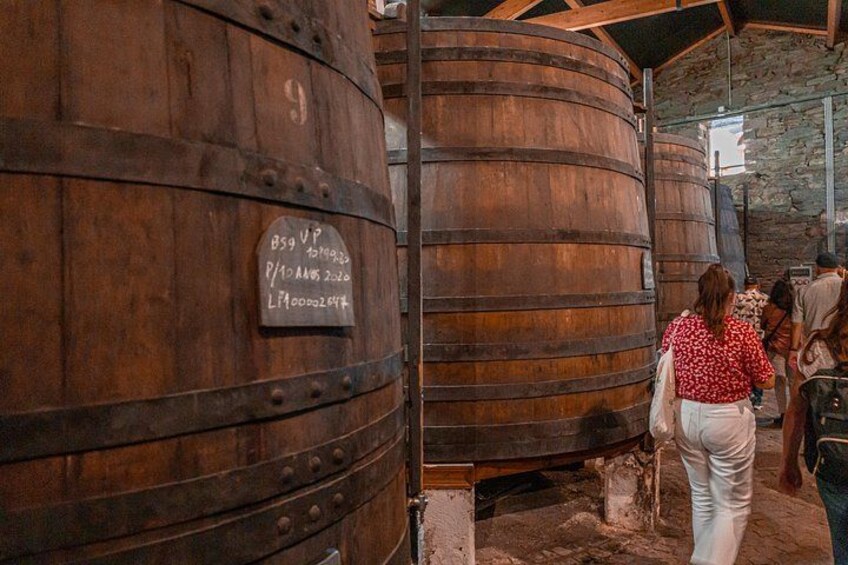 Douro Valley: Historical Sites, Wine Experience, Lunch & Cruise 2