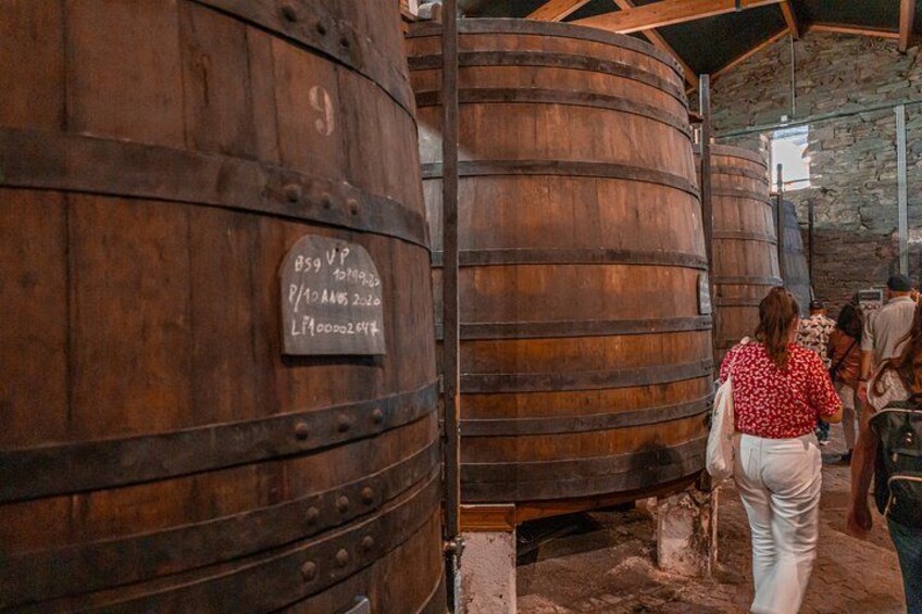 Douro Valley: Historical Sites, Wine Experience, Lunch & Cruise 2