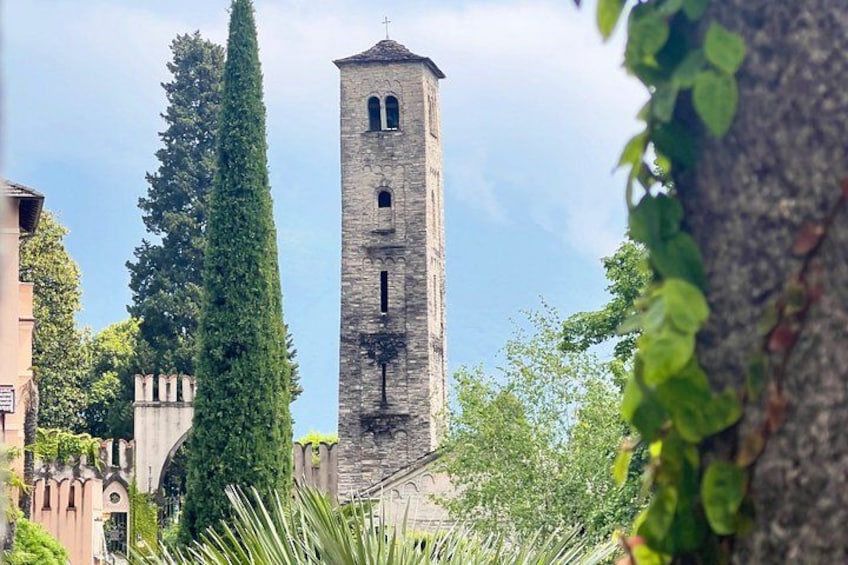 E-Bike tour Lake Como view and Swiss vineyards 3