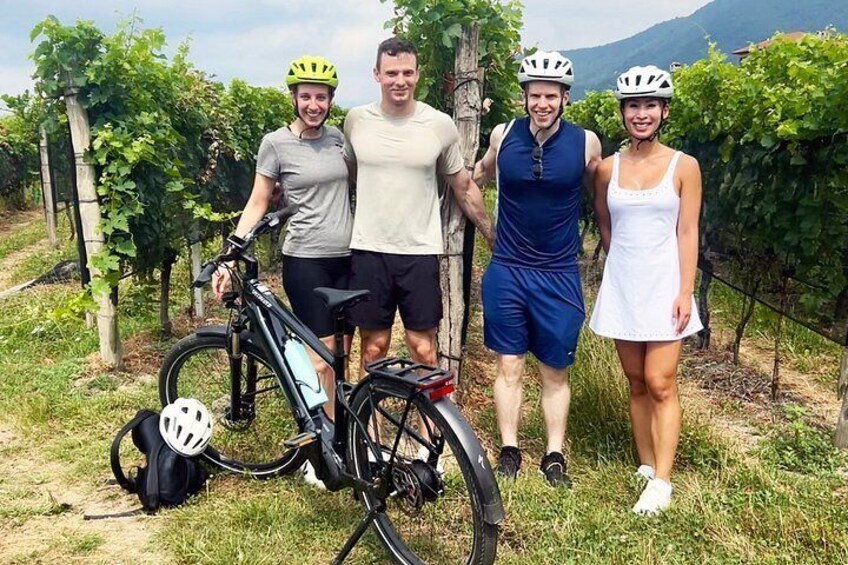 E-Bike tour Lake Como view and Swiss vineyards 3