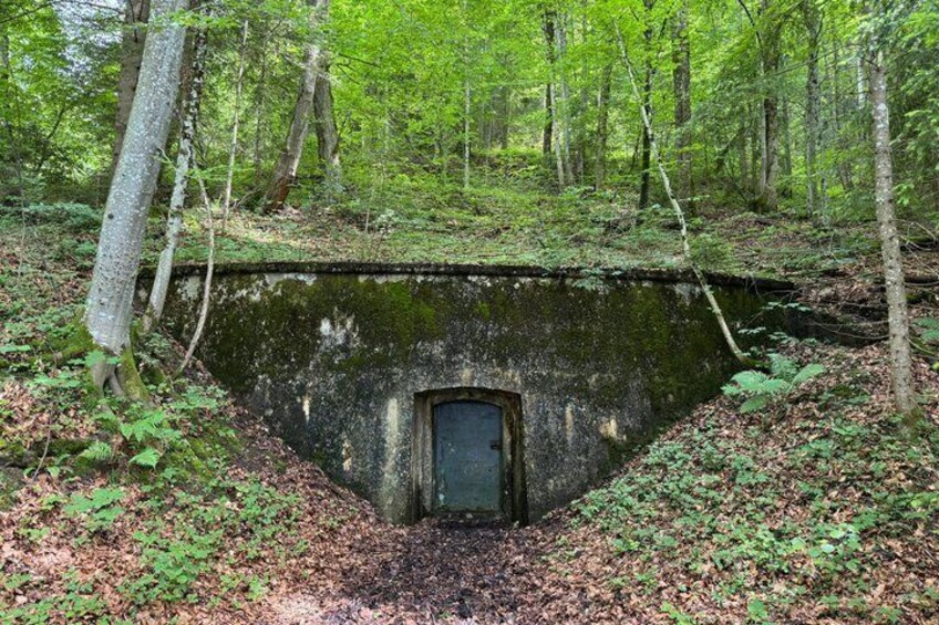 Une zone boisée comprenant une structure en béton dotée d’une porte. 4
