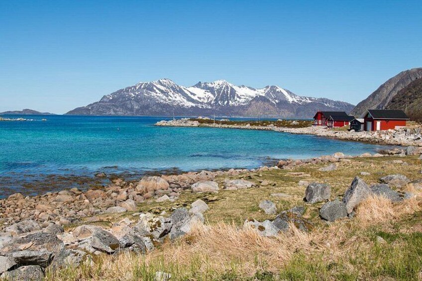Summer Fjord Road Trip with Citizen Science with Wandering Owl 2