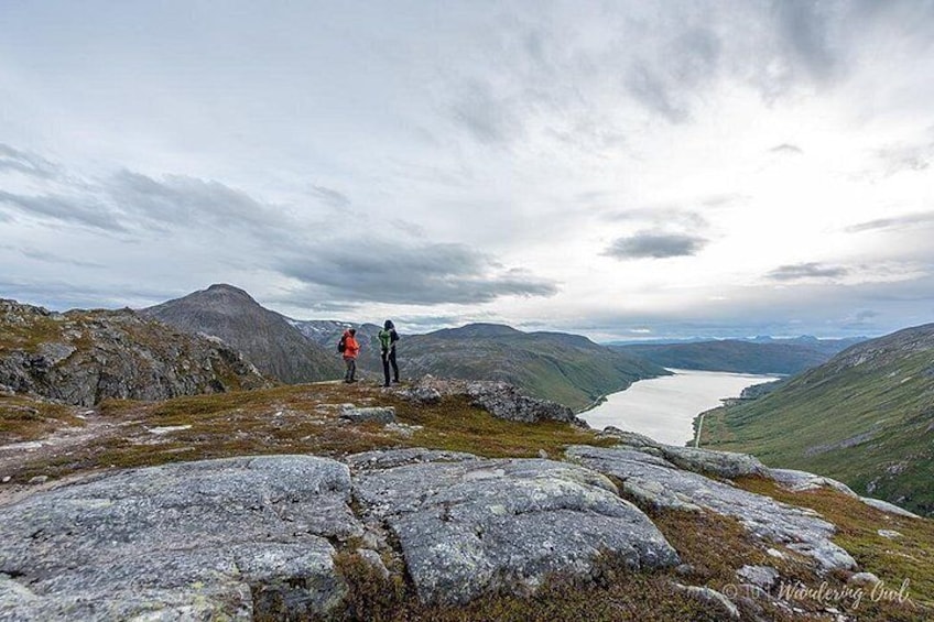 Tromsø: Summer Day Hike with Wandering Owl 3