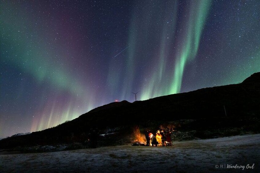 Tromso Aurora Hunt with Bonfire, Meal, Winter Suit & Photos 3