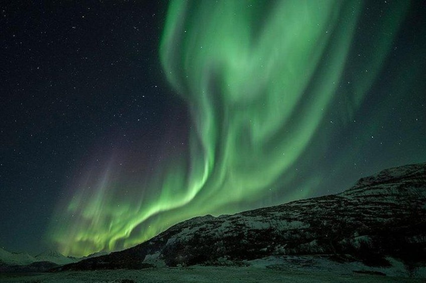 Tromso Aurora Hunt with Bonfire, Meal, Winter Suit & Photos 3