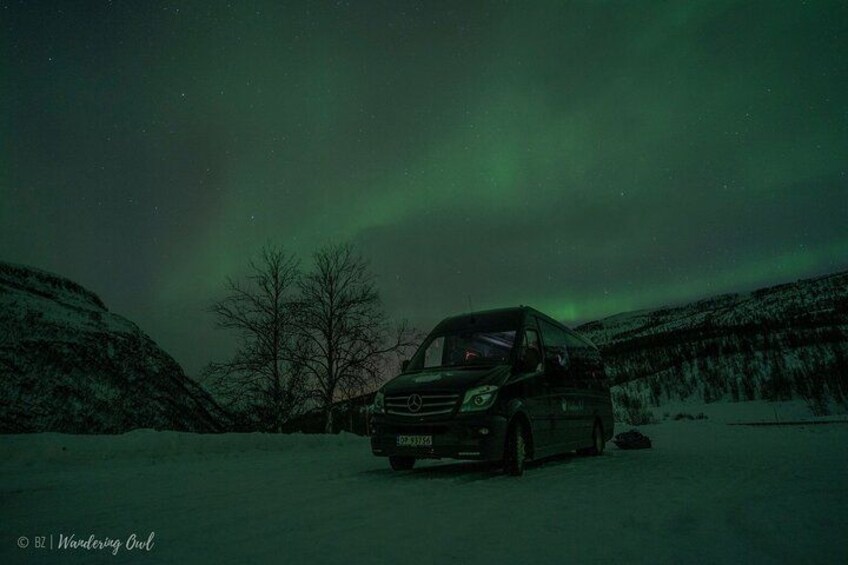Tromso Aurora Hunt with Bonfire, Meal, Winter Suit & Photos 5