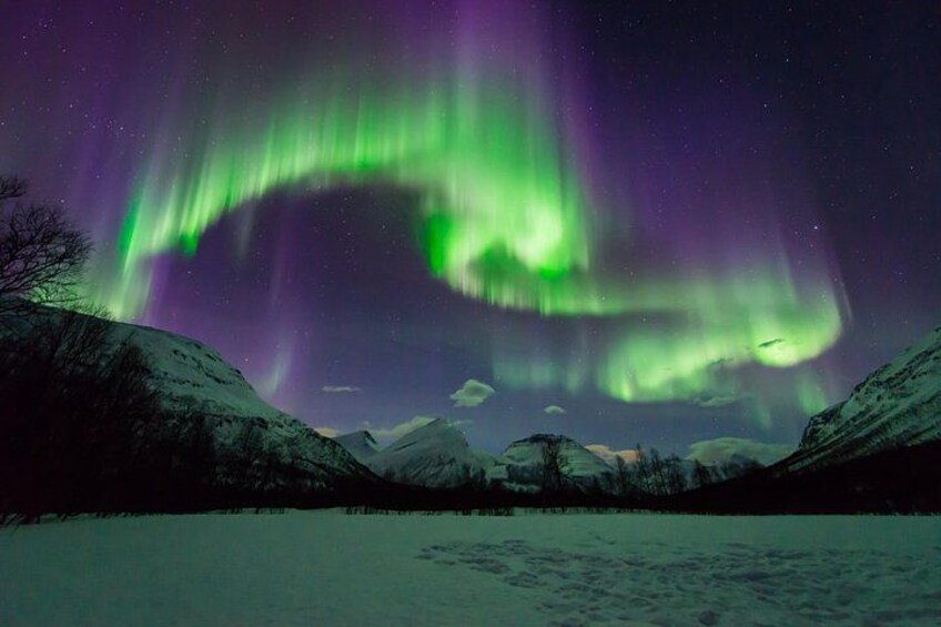 Tromso Aurora Hunt with Bonfire, Meal, Winter Suit & Photos 5