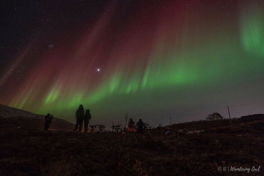 Tromso Aurora Hunt with Bonfire, Meal, Winter Suit & Photos 2