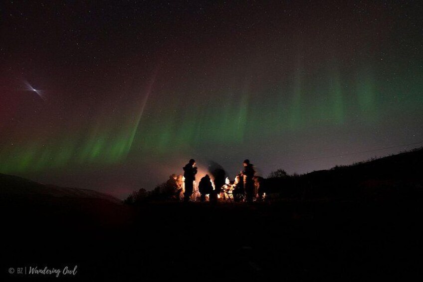 Tromso Aurora Hunt with Bonfire, Meal, Winter Suit & Photos 4