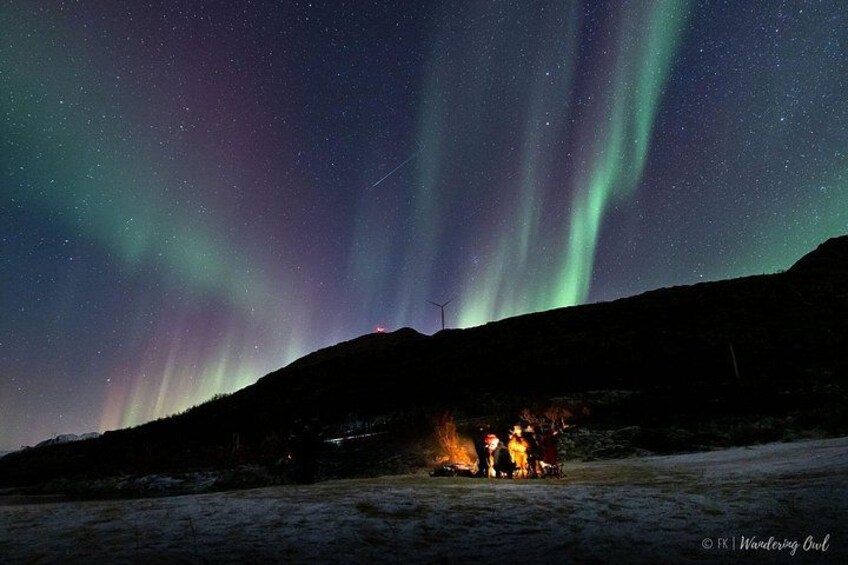 Tromso Aurora Hunt with Bonfire, Meal, Winter Suit & Photos 3