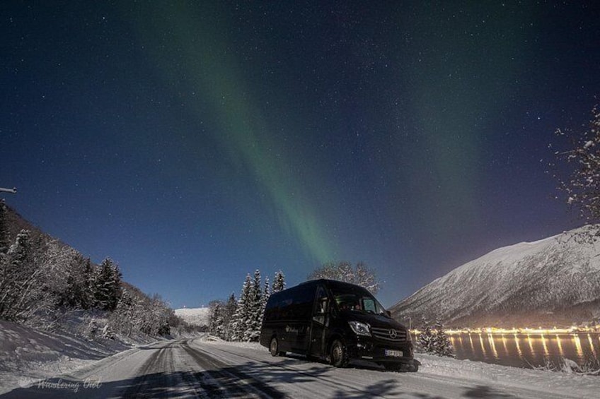 Tromso Aurora Hunt with Bonfire, Meal, Winter Suit & Photos 3