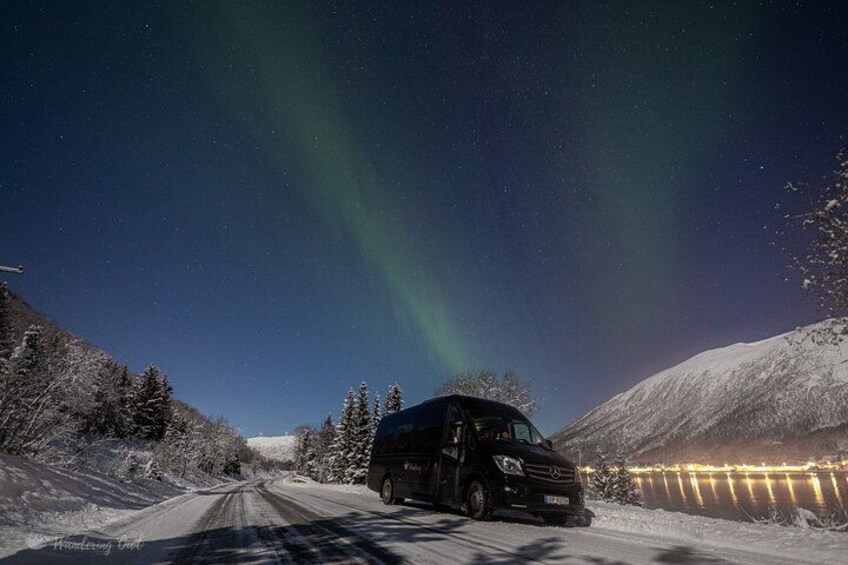 Tromso Aurora Hunt with Bonfire, Meal, Winter Suit & Photos 2