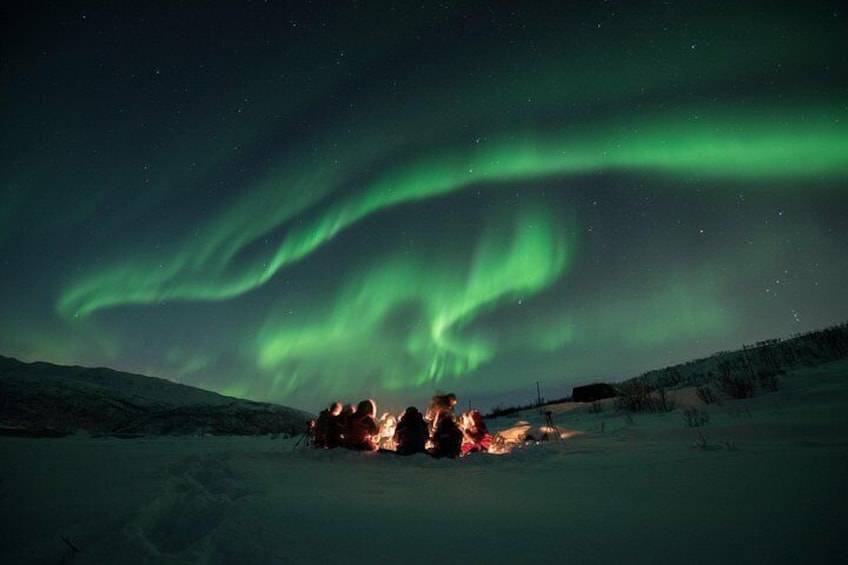 Tromso Aurora Hunt with Bonfire, Meal, Winter Suit & Photos 4