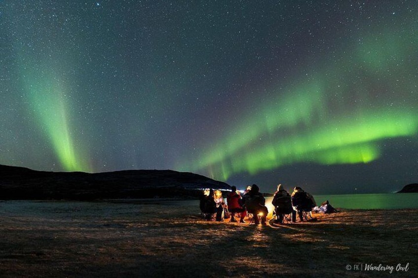 Tromso Aurora Hunt with Bonfire, Meal, Winter Suit & Photos 2