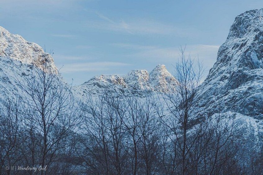 A snowy mountain landscape with bare trees and clear skies. 3