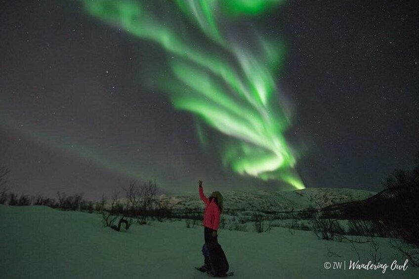 Een persoon staat in de sneeuw, met groen poollicht aan de hemel. 5