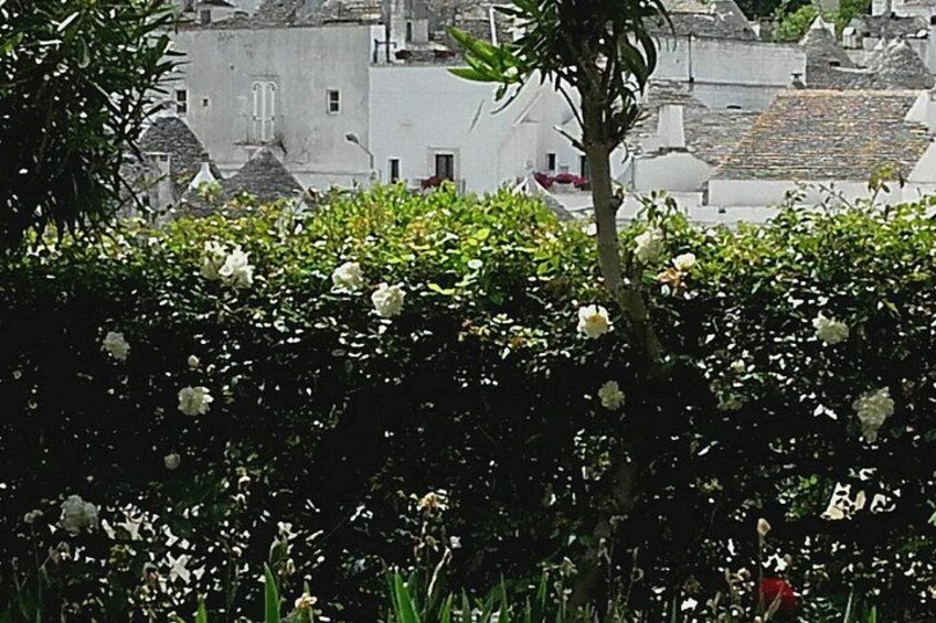 Day Tour of Ostuni, Martina Franca, Alberobello from Bari 3