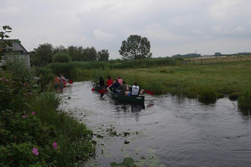 Guided Canoe Adventure with Picnic Lunch in Waterland from Amsterdam 5