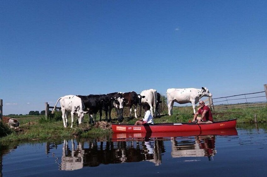 Guided Canoe Adventure with Picnic Lunch in Waterland from Amsterdam 4