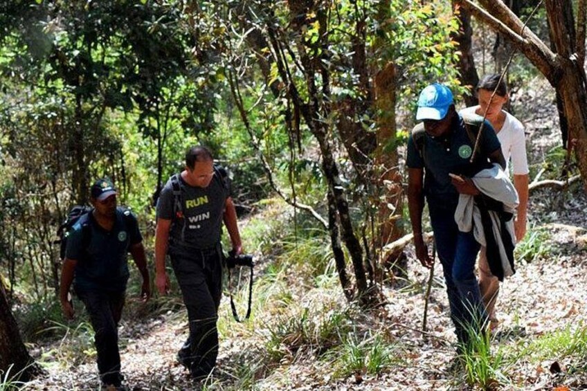 Drie personen lopen door een bebost gebied met bomen en een onverhard pad. 5