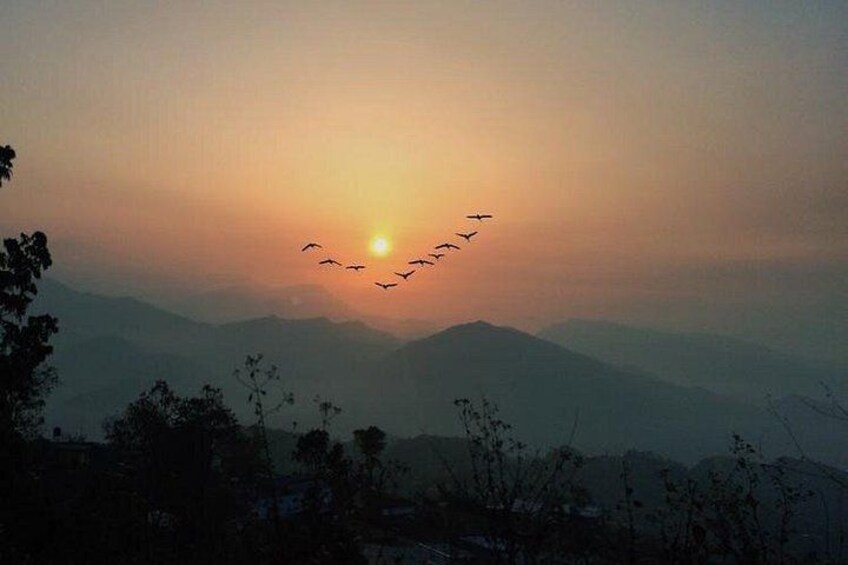 A sunset over mountains with silhouettes of trees and a flock of birds flying. 4