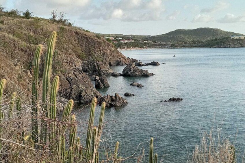 Un paysage côtier caractérisé par des rivages rocheux, des cactus et une colline qui se dessine à l’horizon. 4