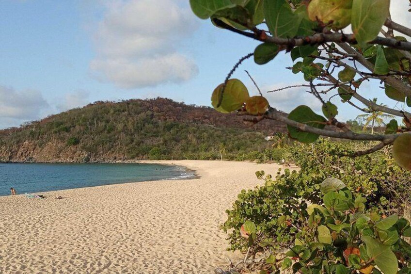 Une plage de sable bordée par une mer calme, une colline en arrière-plan et quelques zones verdoyantes au premier plan. 1