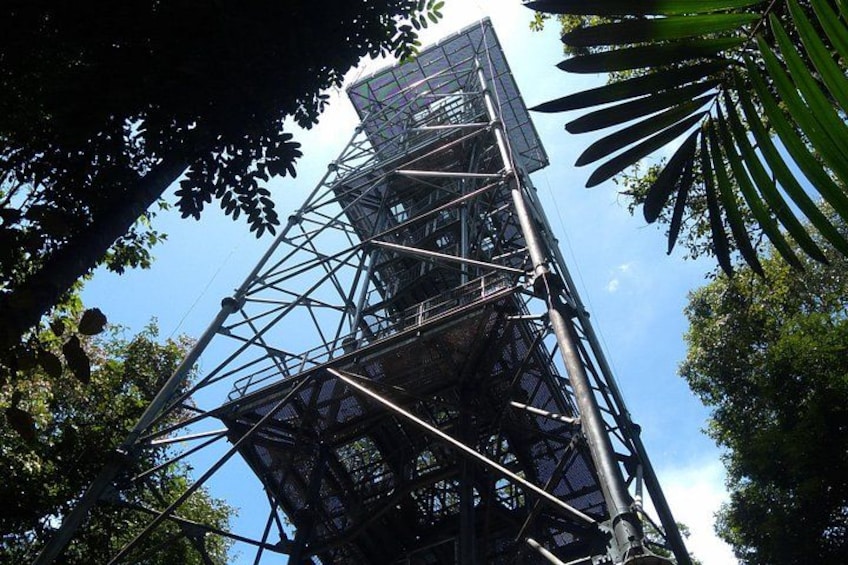 A tall metal structure with a lattice framework, surrounded by trees. 5