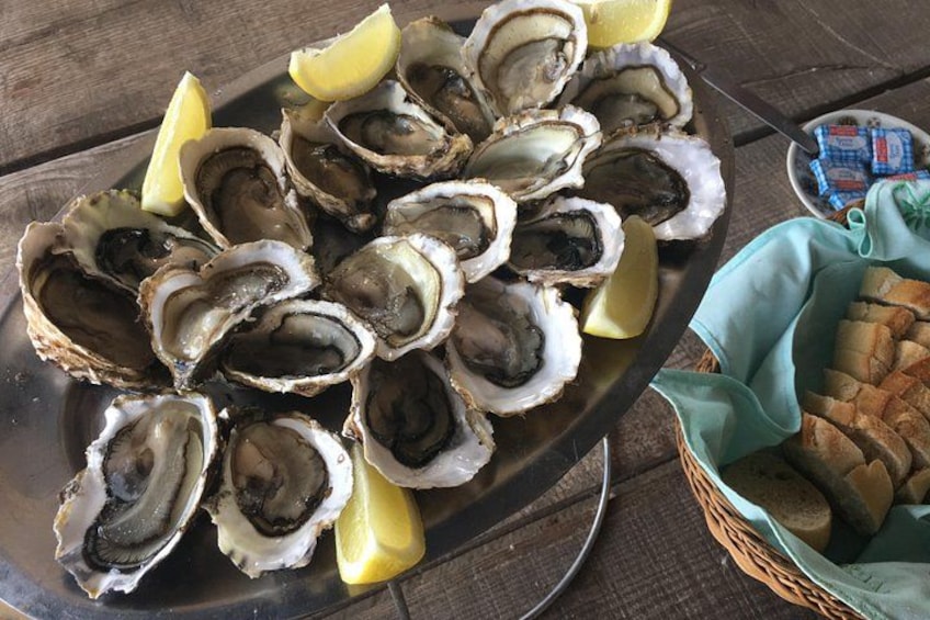 oysters 3