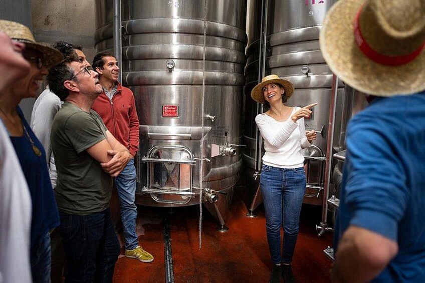 visit of the cellar 3