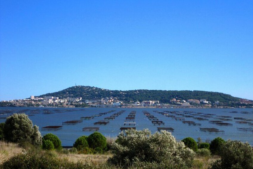 Thau Laguna and oyster beds 2