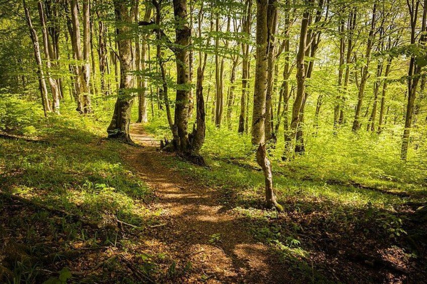 Plitvice Lakes National Park Guided Day Tour from Split 2