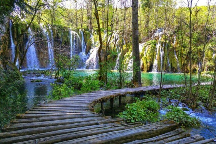 trails in the National Park 3