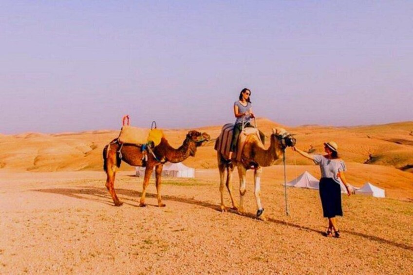 A camel with a saddle and a person riding it in a desert landscape. 5